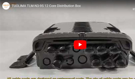TLM-N3-9S 12 Kernverteilungsbox