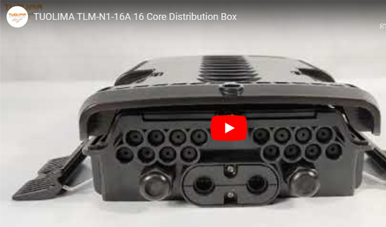 TLM-N1-16A 16 Kernverteilungsbox